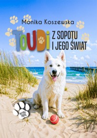 Toudi z Sopotu i jego świat - Monika Koszewska - ebook + audiobook