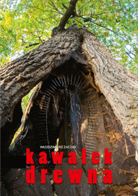 Kawałek drewna - Włodzimierz Zaczek - książka