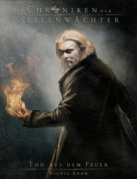 Die Chroniken der Seelenwächter - Band 7: Tod aus dem Feuer - Nicole Böhm - ebook