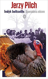 Indyk beltsville - Jerzy Pilch - książka