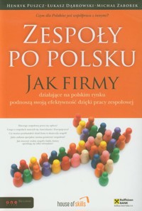Zespoły po polsku - Puszcz Henryk, Dąbrowski Łukasz, Zaborek Michał - książka