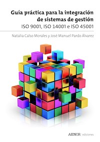 Guía práctica para la integración de sistemas de gestión - Natalia Calso Morales - ebook