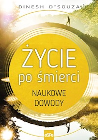 Życie po śmierci - DSouza Dinesh - książka