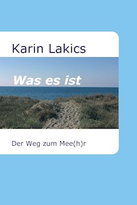Was es ist - Karin Lakics - ebook