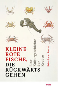 »Kleine rote Fische, die rückwärtsgehen« - Heinz-Dieter Franke - ebook