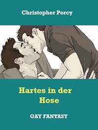 Hartes in der Hose - Christopher Porcy - ebook