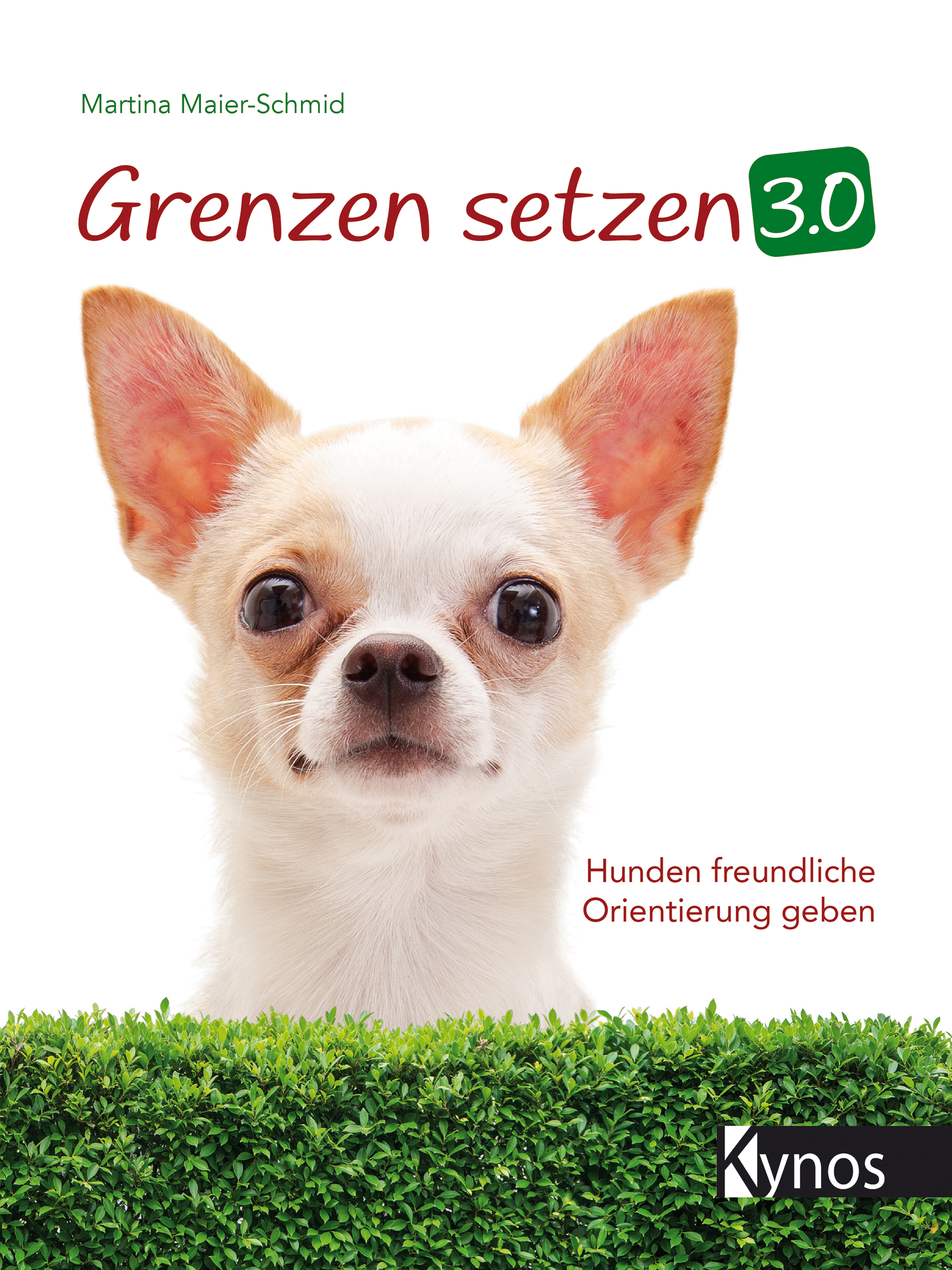 Grenzen setzen 3.0 - Martina Maier-Schmid - ebook