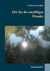 Der See der unzähligen Wunder - Friederike Twardella - ebook