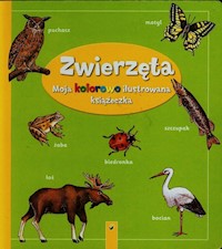 Moja kolorowo ilustrowana książeczka Zwierzęta -  - książka