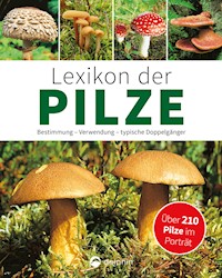 Lexikon der Pilze: Bestimmung, Verwendung, typische Doppelgänger - Hans W. Kothe - ebook