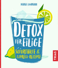 Detox für Eilige - Maria Lohmann - ebook