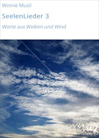 SeelenLieder 3 - Winnie Musil - ebook