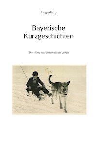 Bayerische Kurzgeschichten - Irmgard Irro - ebook