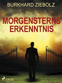 Morgensterns Erkenntnis - Kriminalroman aus Niedersachsen - Burkhard Ziebolz - ebook
