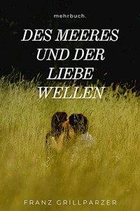 Des Meeres und der Liebe Wellen - Franz Grillparzer - ebook