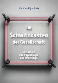 Im Schwitzkasten der Gesellschaft - Cemil Sahinöz - ebook