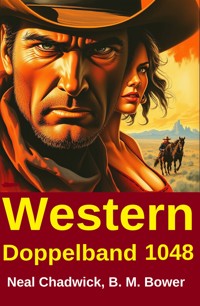 Western Doppelband 1048 - Neal Chadwick - ebook