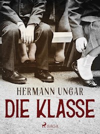 Die Klasse - Hermann Ungar - ebook