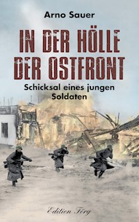 In der Hölle der Ostfront - Arno Sauer - ebook