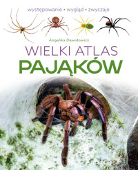 Wielki atlas pająków - Angelika Dawidowicz - książka