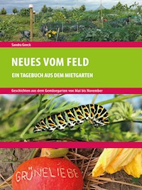 Neues vom Feld - Sandra Geeck - ebook