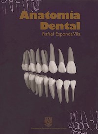 Anatomía dental - Rafael Esponda Vila - ebook