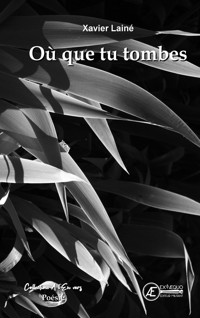 Où que tu tombes - Xavier Lainé - ebook
