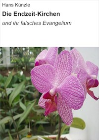 Die Endzeit-Kirchen - Hans Künzle - ebook