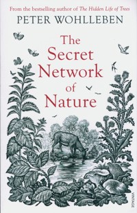 The Secret Network of Nature - Peter Wohlleben - książka