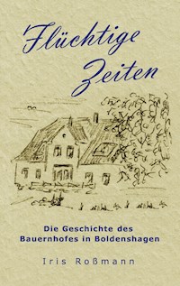 Flüchtige Zeiten - Iris Roßmann - ebook