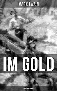 Im Gold- und Silberland - Mark Twain - ebook