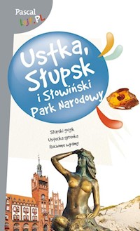 Ustka - Sławomir Adamczak - książka