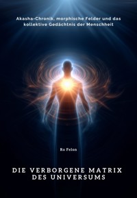 Die verborgene Matrix des Universums - Ro Felon - ebook