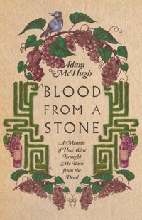 Blood From a Stone - Adam S. McHugh - ebook