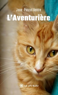 L’Aventurière - Jean-Pascal Ventre - ebook