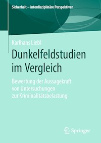 Dunkelfeldstudien im Vergleich - Karlhans Liebl - ebook