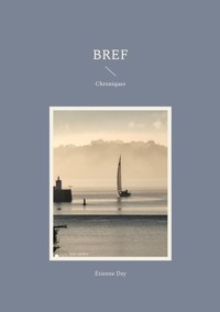 Bref - Étienne Day - ebook