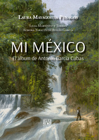Mi México. El álbum de Antonio García Cubas - Laura Mayagoitia Penagos - ebook