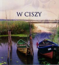W ciszy 9 - Błażejczak Malwina - książka