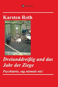 Dreiunddreißig und das Jahr der Ziege - Karsten Roth - ebook