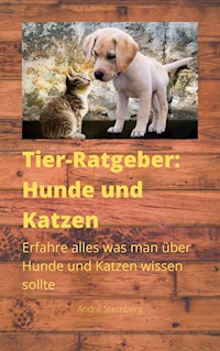 Tier-Ratgeber: Hunde und Katzen - Andre Sternberg - ebook
