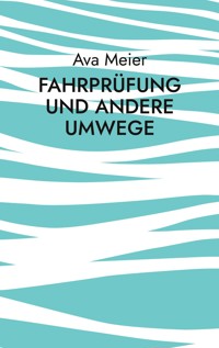 Fahrprüfung und andere Umwege - Ava Meier - ebook