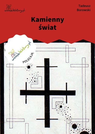 Okładka książki Kamienny świat