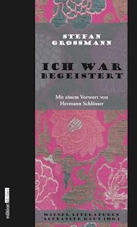 Ich war begeistert - Stefan Großmann - ebook