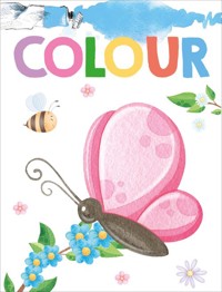 Colour. Koloruję obrazki Motyl - zbiorowa praca - książka