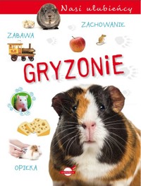 Nasi ulubieńcy. Gryzonie - zbiorowa praca - książka