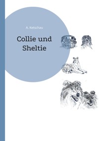Collie und Sheltie - Ketschau A. - ebook
