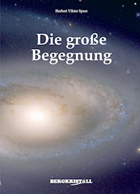 Die Große Begegnung - Herbert Viktor Speer - ebook