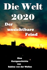 Die Welt 2020 - Sabine von der Wellen - ebook