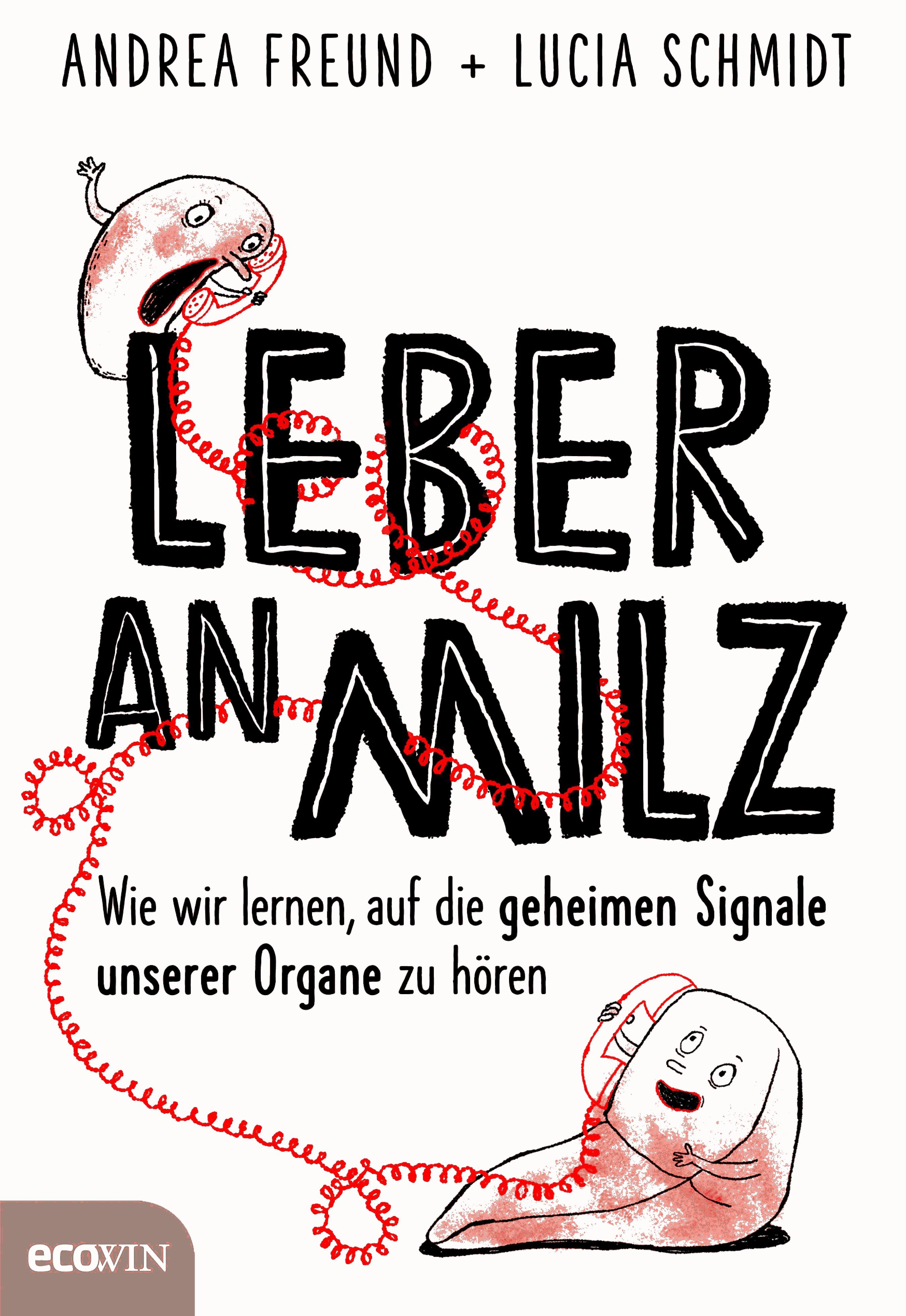 Leber an Milz